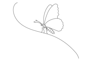 Kelebek, beyaz arka planda izole edilmiş renkli kral kelebekli bir çizim.