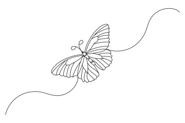 Kelebek, beyaz arka planda izole edilmiş renkli kral kelebekli bir çizim.