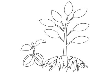 Büyüme bitkisi sürekli tek satır sanat ve izole edilmiş minimalist vektör illüstrasyonu