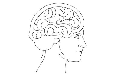 İnsan beyni, sanat ve vektör çizimlerinin kesintisiz bir çizgisidir.