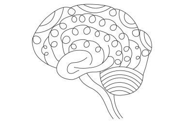 İnsan beyni, sanat ve vektör çizimlerinin kesintisiz bir çizgisidir.