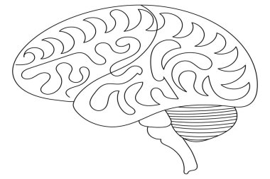İnsan beyni, sanat ve vektör çizimlerinin kesintisiz bir çizgisidir.