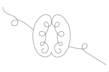 Beyaz arkaplan üzerinde Vektör çiziminin kesintisiz tek çizgi çizimi insan beyni