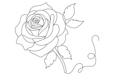 Gül çiçeği sürekli bir çizgi sanat ve izole edilmiş minimalist tasarım beyaz arkaplan 