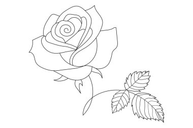  Gül çiçeği makas vektör illüstrasyon tasarımının sürekli bir çizimi