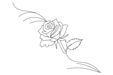  Gül çiçeği makas vektör illüstrasyon tasarımının sürekli bir çizimi