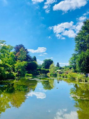 Bereketli yeşil ağaçları ve bulutlu mavi gökyüzünü yansıtan huzurlu bir nehir..