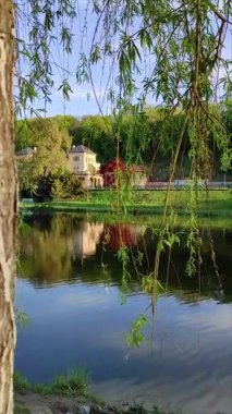Stromovka Park 'ta (Prag) yaz mevsimi huzuru. Söğüt dalları bulutların yansıdığı gölün yüzeyinde sallanır. Binalar arka planda görülebilir.