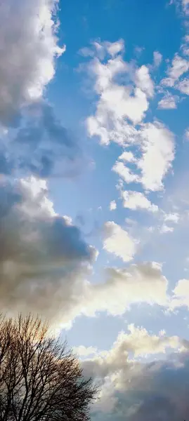 Yaprakları olmayan bir bahar ağacının tacı. Arkaplanda bulutlu mavi bir gökyüzü var. Sol alt köşedeki ağacın tacı..