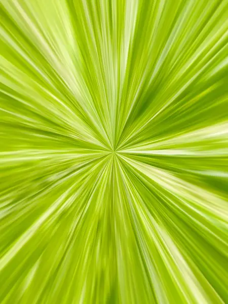 Soyut arkaplan: merkezden patlayıcı desen oluşturan radyal yeşil çizgiler.