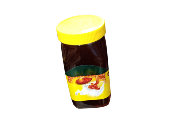 Bal Model PSD Şablon Tasarımı