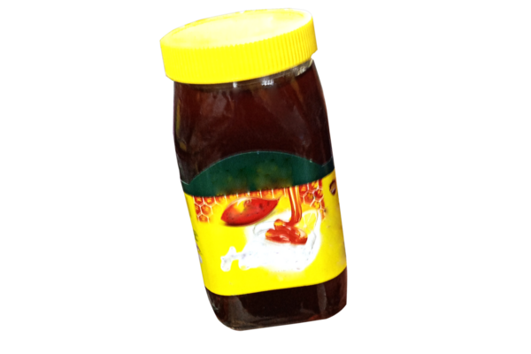 Bal Model PSD Şablon Tasarımı