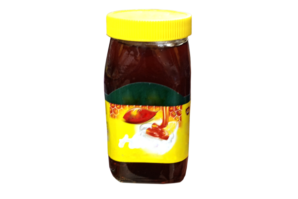 Bal Model PSD Şablon Tasarımı