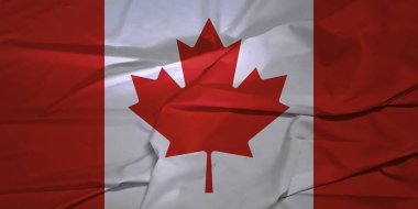 İzole edilmiş Kanada Ulusal Bayrağı Rüzgâr Hareketi Konseptinde