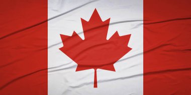 İzole edilmiş Kanada Ulusal Bayrağı Rüzgâr Hareketi Konseptinde