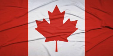 İzole edilmiş Kanada Ulusal Bayrağı Rüzgâr Hareketi Konseptinde