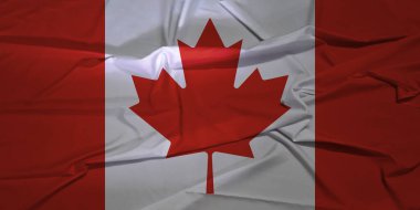 İzole edilmiş Kanada Ulusal Bayrağı Rüzgâr Hareketi Konseptinde