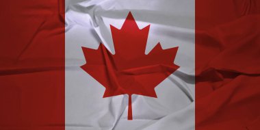 İzole edilmiş Kanada Ulusal Bayrağı Rüzgâr Hareketi Konseptinde