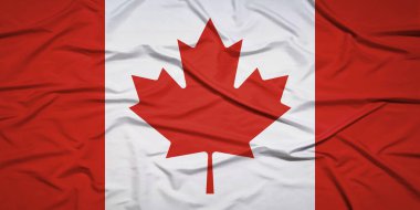 İzole edilmiş Kanada Ulusal Bayrağı Rüzgâr Hareketi Konseptinde