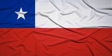 Şili Ulusal Bayrağı Rüzgarda Zarifçe Dalgalanıyor