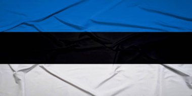 Kırışık Kumaş Detaylı Estonya Bayrağını Sallama Kapanışı 