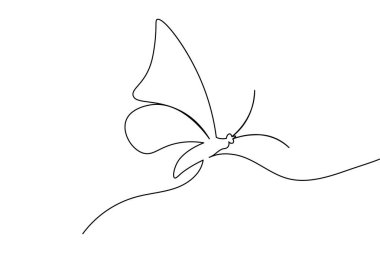  Kelebek sürekli beyaz arkaplan çiziyor