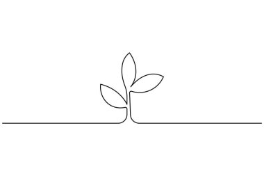 Çimenlerle çiçek açma sanatı, minimalist dekorasyon ve çizimler için idealdir.