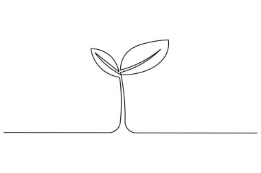 Çimenlerle çiçek açma sanatı, minimalist dekorasyon ve çizimler için idealdir.