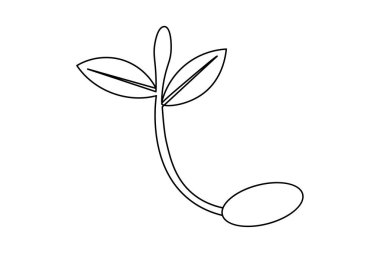 Çimenlerle çiçek açma sanatı, minimalist dekorasyon ve çizimler için idealdir.