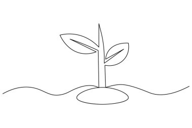 Çimenlerle çiçek açma sanatı, minimalist dekorasyon ve çizimler için idealdir.