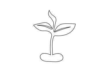 Çimenlerle çiçek açma sanatı, minimalist dekorasyon ve çizimler için idealdir.