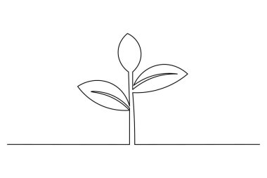 Çimenlerle çiçek açma sanatı, minimalist dekorasyon ve çizimler için idealdir.