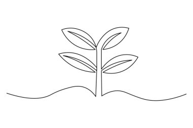 Çimenlerle çiçek açma sanatı, minimalist dekorasyon ve çizimler için idealdir.