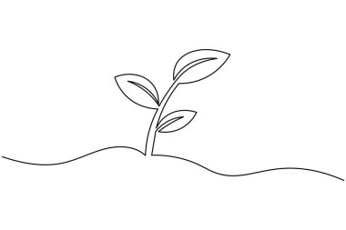 Çimenlerle çiçek açma sanatı, minimalist dekorasyon ve çizimler için idealdir.