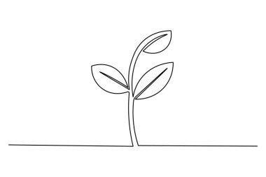 Çimenlerle çiçek açma sanatı, minimalist dekorasyon ve çizimler için idealdir.