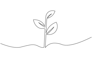 Yapraklı bitki büyümesinin soyut tek çizgi çizimi, modern ve basit vektör illüstrasyonu