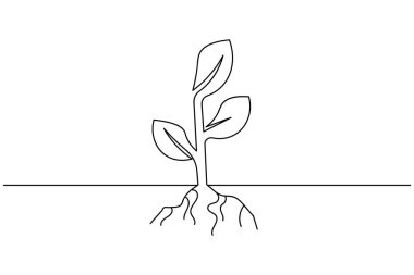 Yapraklı bitki büyümesinin soyut tek çizgi çizimi, modern ve basit vektör illüstrasyonu