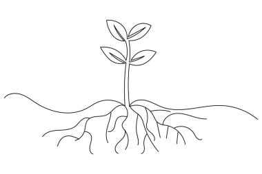 Büyüyen bitkiler beyaz arkaplanda sürekli bir çizgi çiziyor