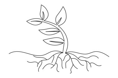 Büyüyen bitkiler beyaz arkaplanda sürekli bir çizgi çiziyor