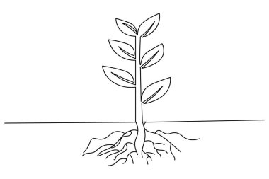 Büyüyen bitkiler beyaz arkaplanda sürekli bir çizgi çiziyor