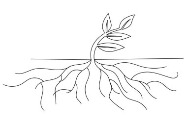 Büyüyen bitkiler beyaz arkaplanda sürekli bir çizgi çiziyor