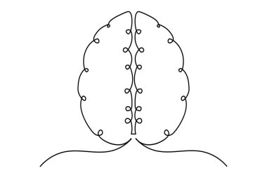 İnsan beyni beyaz arkaplanda sürekli bir çizgi çizer.