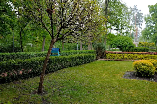 Park yolu parkın derinliklerine gidiyor, yeşillikte boğuluyor..