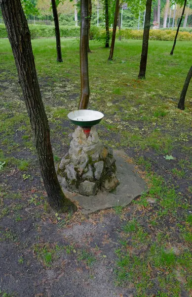 Parkın ortasına yeşilliklerle çevrili bir içme suyu çeşmesi kurulur..