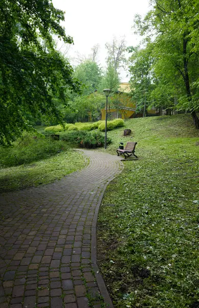 Park yolu parkın derinliklerine gidiyor, yeşillikte boğuluyor..