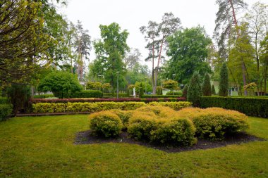 Bir sürü yeşilliği olan temiz bir çiçek tarhı.