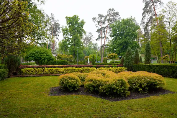 Bir sürü yeşilliği olan temiz bir çiçek tarhı.