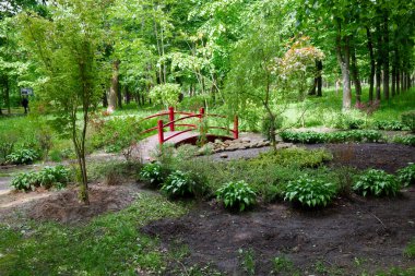 Kyiv parkına kurulmuş, yeşilliğin arka planına karşı doğu tarzında kırmızı bir köprü.