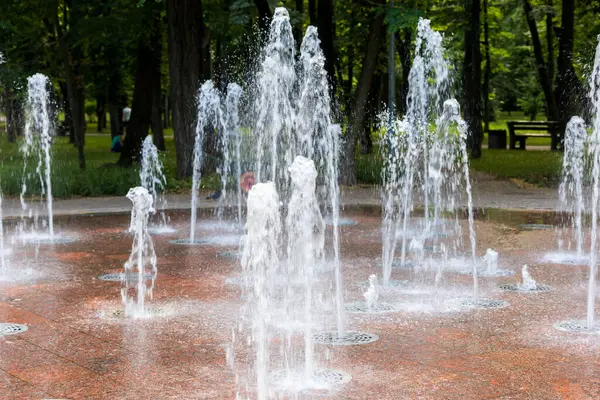 Çeşmenin sayısız su fıskiyesi kırmızı granitten yapılmış bir zemindeki gizli hortumlardan fışkırıyor..