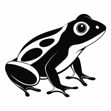 Siyah ve Beyaz Kurbağa İllüstrasyonu, Amfibi, Doğa, Vahşi Yaşam, Sanat